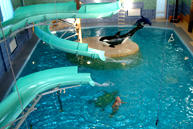 ������, �������� � �����