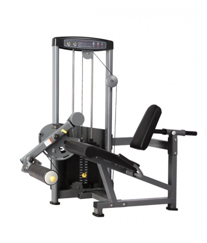 ������� ��������� ����� Bronze Gym �� ����� ������� ���������