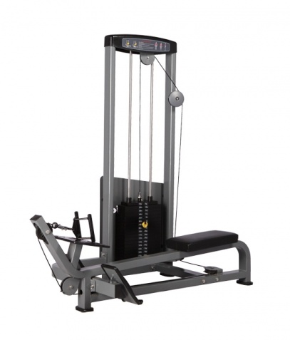 ������� ��������� ����� Bronze Gym �� ����� ������� ���������