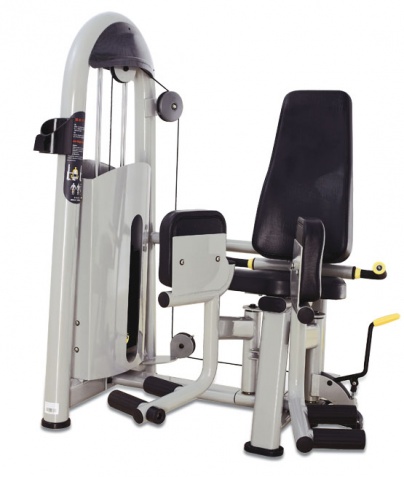 ������� ��������� ����� Bronze Gym �� ����� ������� ���������