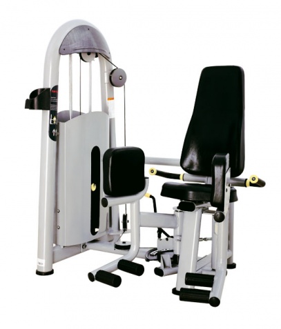 ������� ��������� ����� Bronze Gym �� ����� ������� ���������