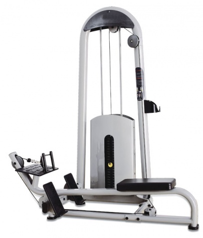 ������� ��������� ����� Bronze Gym �� ����� ������� ���������