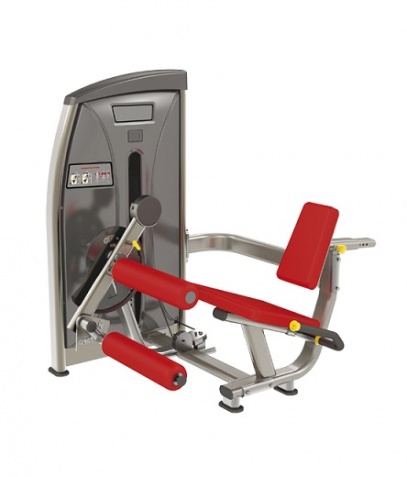 ������� ��������� ����� Bronze Gym �� ����� ������� ���������