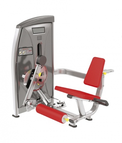 ������� ��������� ����� Bronze Gym �� ����� ������� ���������