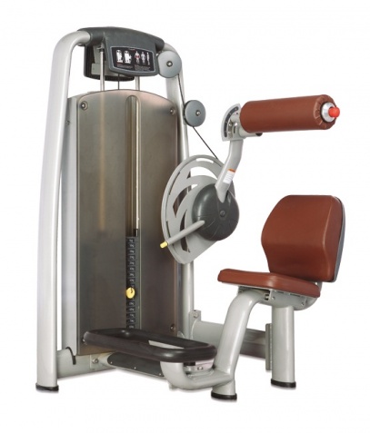 ������� ��������� ����� Bronze Gym �� ����� ������� ���������