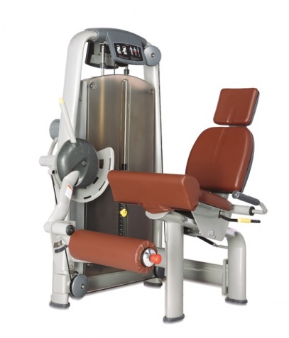 ������� ��������� ����� Bronze Gym �� ����� ������� ���������