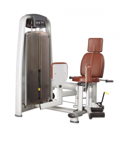 ������� ��������� ����� Bronze Gym �� ����� ������� ���������