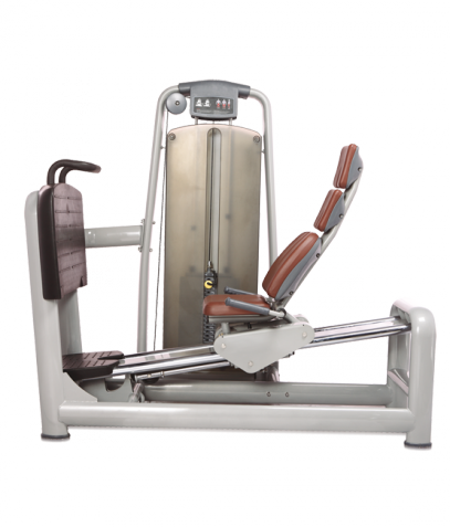 ������� ��������� ����� Bronze Gym �� ����� ������� ���������