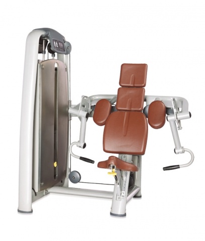 ������� ��������� ����� Bronze Gym �� ����� ������� ���������