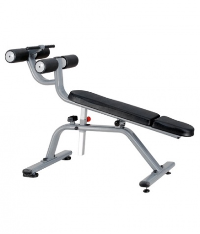 ������ ����� Bronze Gym �� ����� ������� ���������