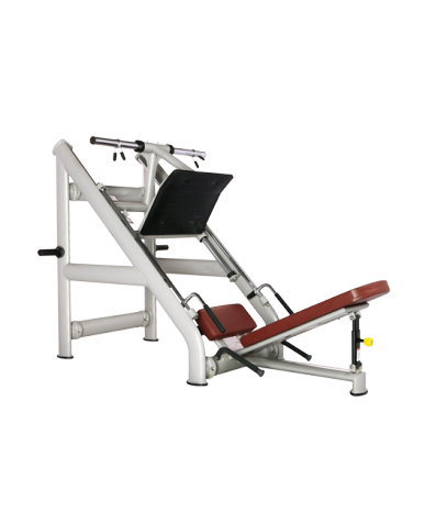 ������� ��������� ����� Bronze Gym �� ����� ������� ���������