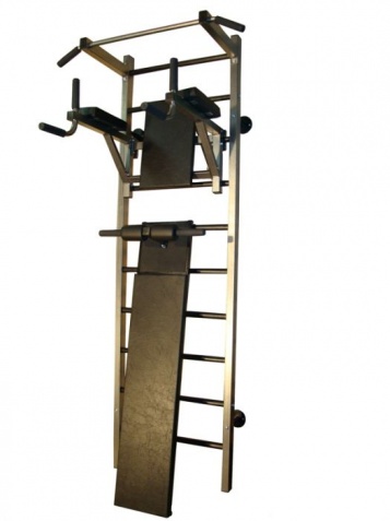 Шведские стенки фирмы Plastep из серии силовых тренажёров Шведские стенки фирмы Plastep из серии силовых тренажёров