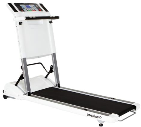 Беговые дорожки фирмы Horizon из серии кардио-тренажёров Беговые дорожки фирмы Horizon из серии кардио-тренажёров