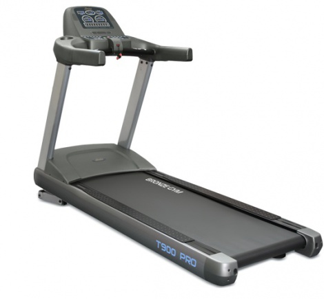 ������� ������� ����� Bronze Gym �� ����� ������-���������