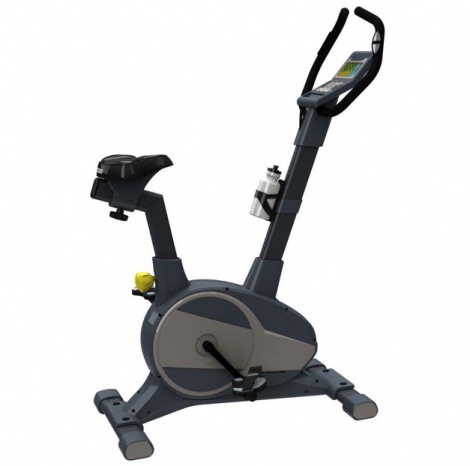 ������������� ����� Torneo �� ����� ������-���������